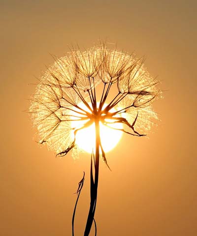 Herbst_1